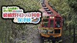 ローカル鉄道で訪れたい場所 嵯峨野トロッコ列車と保津峡