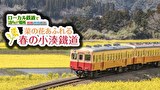 ローカル鉄道で訪れたい場所 菜の花あふれる春の小湊鐵道