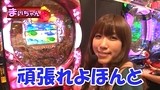 ヤマモリぎんだま～すいません。また追加投資です…　ハイ！よろこんで！！～　＃５５　ＣＲスーパー海物語ＩＮ沖縄など（前半戦）
