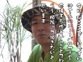 ういちとヒカルのおもスロいテレビ　＃２１　ダブルマックス（前編）