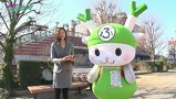 青山りょうのＭＩＳＳＩＯＮ：ＰＯＳＳＩＢＬＥ？　＃１７　ＭＩＳＳＩＯＮ１７：パチスロ北斗の拳　強敵