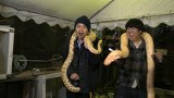 バナナステーキ　＃４３