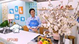 シナモンと安田顕のゆるドキ☆クッキング　第７４話