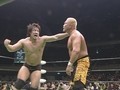 リクエストマッチ　ノア頂上対決　特集　王者：潮崎豪ＶＳ挑戦者：杉浦貴  ＧＨＣヘビー級選手権試合　２００９年１２月６日　東京・日本武道館