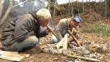 ヒロシのひとりキャンプのすすめ　シーズン2　バイきんぐ西村のキャンプギア封印！ヒロシと即興コント