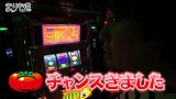まりも道　＃１６８　リノ（後編）