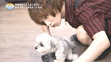 ＨＡＰＩ　ＴＲＩＰＰＥＲ（ハピトリ）　「どうなる最終日」