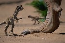 ＷＷＤ　スペシャル－伝説の恐竜ビッグ・アル