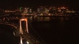 ｖｉｒｔｕａｌ　ｔｒｉｐ　空撮　ＴＯＫＹＯ　ｖｏｌ．２　ｎｉｇｈｔｔｉｍｅ