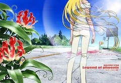 カレイドスター　～レイラ・ハミルトン物語～