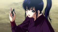 バジリスク　～甲賀忍法帖～　１１話～１５話