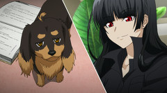 犬とハサミは使いよう　１話～６話