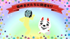 キンタマーニドッグ　全話