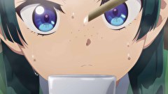 薬屋のひとりごと　２５話～３０話