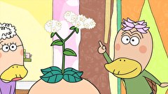 はなかっぱ　第１８１話　「こだわりおじいちゃん」