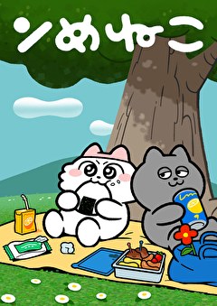 ンめねこ