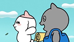 ンめねこ　１７話～２４話