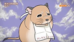 ざんねんないきもの事典 第4シリーズ　第４話　#4