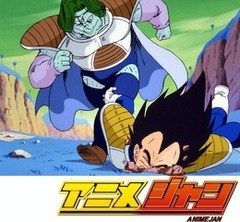 ドラゴンボールＺ　第５３話　ほとんど鳥肌！　美戦士ザーボンの悪魔の変身