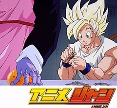 ドラゴンボールＺ　第１７４話　悟空に難関！？神龍球をとり戻せ
