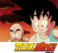 ドラゴンボール　１６話～２０話