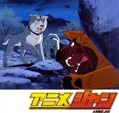 銀牙 流れ星銀 第１１話 忍犬 伊賀の里に黒い影 アニメ テレビアニメ ビデックス