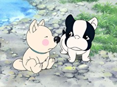 ふぉうちゅんドッグす　第１７話　『怒ったマックス』