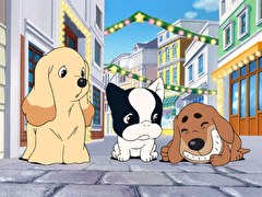 ふぉうちゅんドッグす　第２５話　『天才犬､ジャッキー』