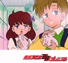 美少女戦士セーラームーン　第５話　妖魔の香り！シャネーラは愛を盗む