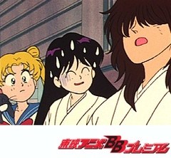 美少女戦士セーラームーン　第３０話　お爺ちゃんの乱心，レイちゃんの危機