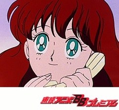 美少女戦士セーラームーンＲ　１１話〜１５話