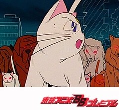 美少女戦士セーラームーンＲ　第３３話　アルテミスの冒険！魔の動物王国