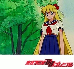 美少女戦士セーラームーンＳ　１１話〜１５話