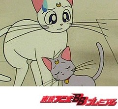 美少女戦士セーラームーンｓｕｐｅｒｓ ６話 １０話 アニメ テレビアニメ ビデックスjp