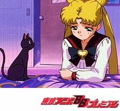 美少女戦士セーラームーン セーラースターズ 第２４話 明かされた真実 セイヤ達の過去 アニメ テレビアニメ ビデックスjp