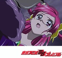Ｙｅｓ！プリキュア５　４６話～４９話