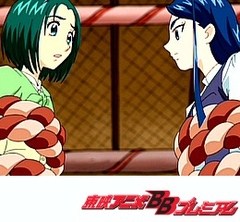 Ｙｅｓ！プリキュア５ＧｏＧｏ！　１６話～２０話