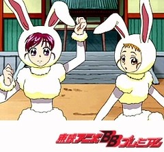 Ｙｅｓ！プリキュア５ＧｏＧｏ！　第３０話　王の力とナッツの悩み