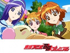 フレッシュプリキュア 第１３話 シフォンが病気 パインの新しい力 アニメ テレビアニメ ビデックスjp