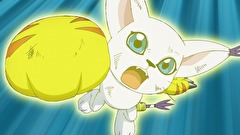 デジモンアドベンチャー：　第３４話　ヒカリとテイルモン