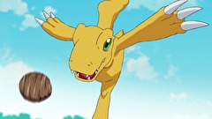 デジモンアドベンチャー：　第４０話　決めろ！必殺シュート