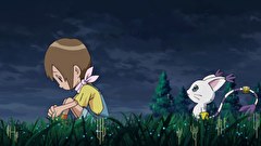 デジモンアドベンチャー：　４９話～５３話