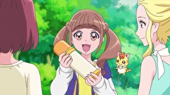 ヒーリングっど♥プリキュア　第２４話　いま行きます！お手当てを風に乗せて