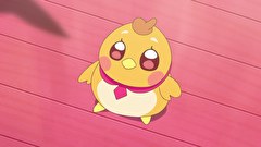 ひろがるスカイ！プリキュア　第８話　飛べない鳥と、ふしぎな少年