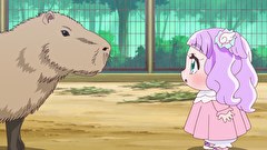 ひろがるスカイ！プリキュア　第２５話　ワクワク！プリンセス、動物園に行く！