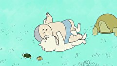 いきものさん　第１話　カメの回