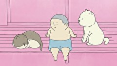 いきものさん　第２話　ネコの回