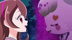 キミとアイドルプリキュア♪　２１話～２５話