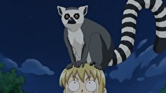 科学×冒険サバイバル！第2シリーズ　第１４話　ナイトサファリのサバイバル　その3