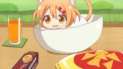 にゃんこデイズ　第２話　ネコとの休日１／第３話 ネコとの休日２／第４話 友子とあづみ／第５話 はじめての寄り道／第６話 あづみとエルザ